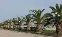 Taxi Transfer to Nea Plagia