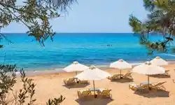 Taxi Transfer to Nea Moudania