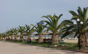 Flughafen taxi transfers fahrt nach Nea Plagia Chalkidiki​